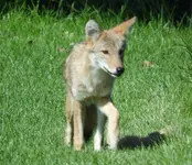 K1600_DSCN4411.webp