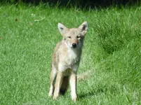 K1600_DSCN4412.webp