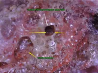 Trinitite Red Strawberry.webp