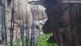 20170822_133027.webp