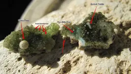 Trinitite Rarity.webp
