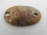 Vintage-1923-New-York-State-Us-Dog-License.webp