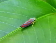 DSCN4970.webp