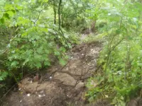 DSCF9869.webp