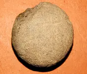 DSCN7503.webp