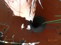 DSCN1876.webp