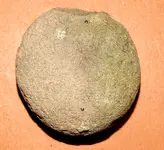 DSCN7504.webp