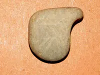 DSCN7584.webp
