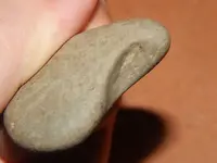 DSCN7586.webp