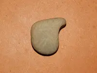 DSCN7587.webp