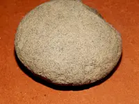 DSCN7513.webp