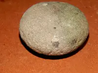 DSCN7514.webp