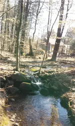 creek.webp creek.webp