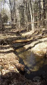 creek2.webp