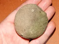 DSCN7516.webp