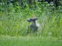 K1600_DSCN4276.webp