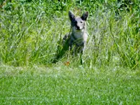 K1600_DSCN4277.webp