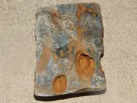 DSCN7153.webp
