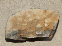 DSCN7154.webp