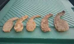 20170822_175154.webp