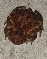 20170927_210415.webp