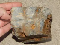 DSCN7156.webp