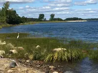 trail water.webp