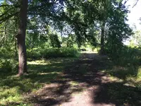 trail.webp