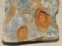 DSCN7160.webp