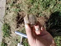 20171007_120110.webp