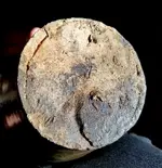 20170927_083650.webp 20170927_083650.webp
