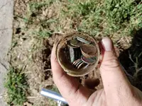 20171007_120118.webp