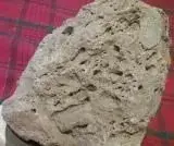 20170822_082548.webp