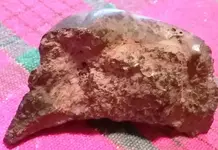20170822_083442.webp