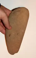 DSCN6996.webp