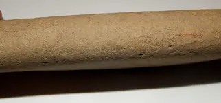 DSCN6998.webp