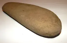 DSCN6999.webp