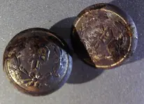 19th_Century_Scovill_Police_Buttons.webp