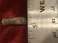 winchester odd calliber 2.webp