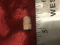 single ring slug.webp