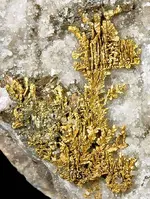 Dendrites.webp