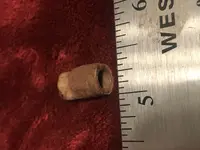 2 ring slug.webp