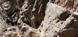 face_sealed-shaft.webp