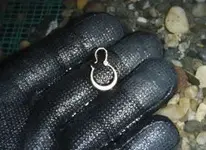 tesoro_sand_shark_earing.webp