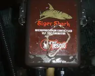 tesoro_sand_shark_bracelet.webp
