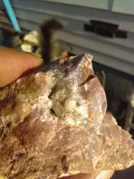 IMAG0685.webp