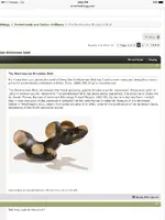 ImageUploadedByTreasureNet.com1505020036.134850.webp ImageUploadedByTreasureNet.com1505020036.134850.webp