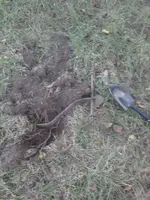 IMG_20170831_194844.webp