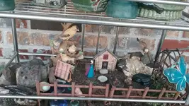 20170809_104511_resized.webp 20170809_104511_resized.webp