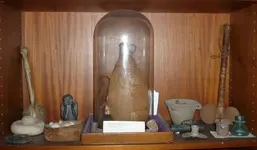 Water Bottle.webp